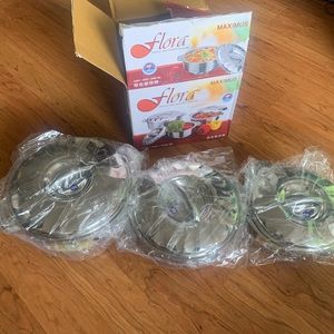 Silver Flora Maximus Stainless Steel Insulated Containers (3pcs)